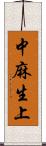 中麻生上 Scroll