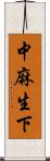 中麻生下 Scroll