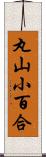 丸山小百合 Scroll