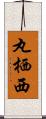 丸栖西 Scroll