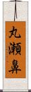 丸瀬鼻 Scroll