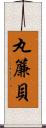 丸簾貝 Scroll