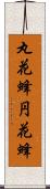 丸花蜂 Scroll