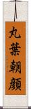 丸葉朝顔 Scroll