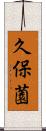 久保薗 Scroll