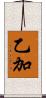 乙加 Scroll
