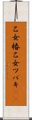 乙女椿 Scroll