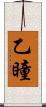 乙瞳 Scroll