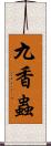 九香蟲 Scroll
