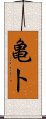 亀卜 Scroll
