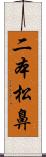 二本松鼻 Scroll