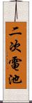 二次電池 Scroll