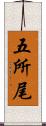 五所尾 Scroll