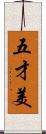 五才美 Scroll