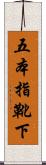 五本指靴下 Scroll