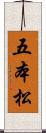 五本松 Scroll