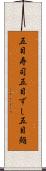 五目寿司 Scroll