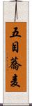 五目蕎麦 Scroll