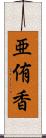 亜侑香 Scroll