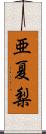 亜夏梨 Scroll