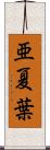 亜夏葉 Scroll