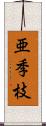 亜季枝 Scroll