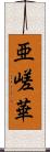 亜嵯華 Scroll