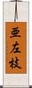 亜左枝 Scroll