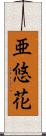 亜悠花 Scroll