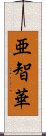 亜智華 Scroll