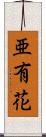 亜有花 Scroll