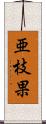 亜枝果 Scroll