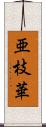 亜枝華 Scroll