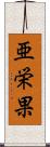 亜栄果 Scroll