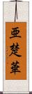 亜楚華 Scroll