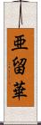 亜留華 Scroll