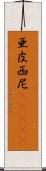 亜皮西尼(ateji) Scroll