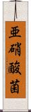 亜硝酸菌 Scroll