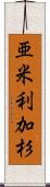 亜米利加杉 Scroll