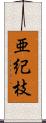 亜紀枝 Scroll