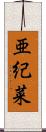 亜紀菜 Scroll