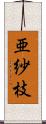 亜紗枝 Scroll