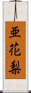 亜花梨 Scroll