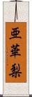 亜華梨 Scroll