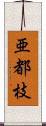 亜都枝 Scroll