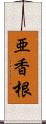 亜香根 Scroll