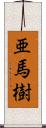 亜馬樹 Scroll