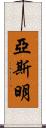 Yasmin Scroll