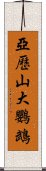 亞歷山大鸚鵡 Scroll