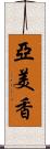 亞美香 Scroll